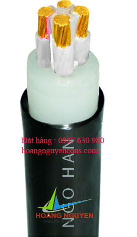 Cáp điện lực 4 ruột đồng cách điện XLPE, vỏ PVC(CXV-4R-0.6/1KV) TCVN 5935