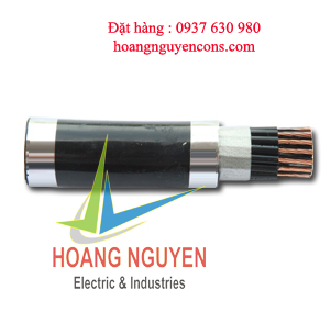 Cáp điều khiển Taya Cáp điều khiển Taya