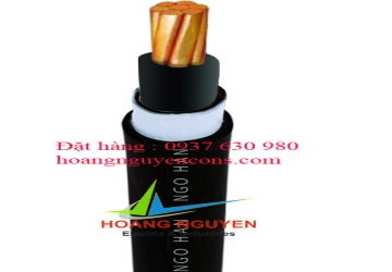 Cáp điện lực 1 ruột đồng, cách điện PVC, vỏ bảo vệ PVC. Giáp băng 2 lớp nhôm (CVV/DATA-1R-0.6/1kV