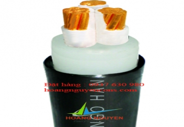 Cáp điện lực 3 ruột đồng, cách điện PVC, vỏ bảo vệ PVC. Giáp băng 2 lớp thép (CXV/DSTA-3R)-0.6/1kV